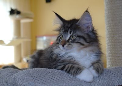 Jack