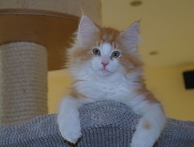 Jeremy