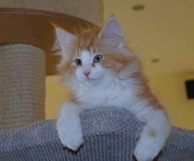 Jeremy