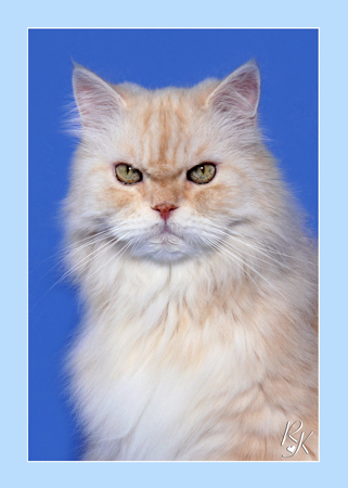Sultan
