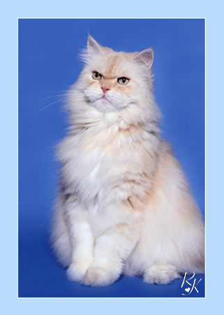 Sultan