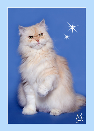 Sultan