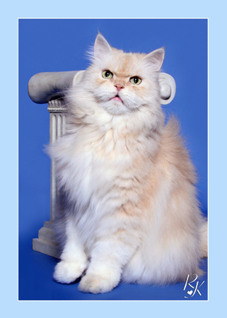 Sultan