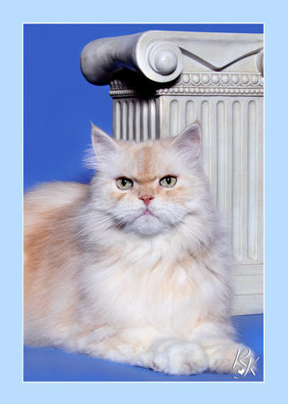 Sultan