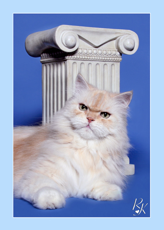 Sultan